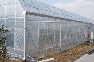 Eight tips to solve the greenhouse problem of dehumidification