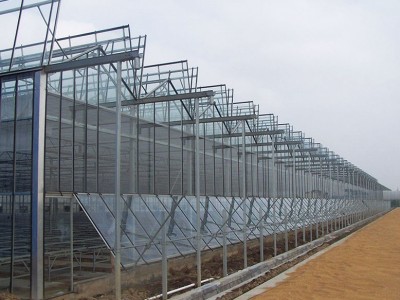 Intelligent Venlo type glass greenhouse
