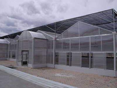 Venlo type sunshine panel greenhouse