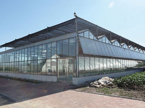 Intelligent Venlo type glass greenhouse