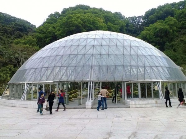 Greenhouse of bird nest